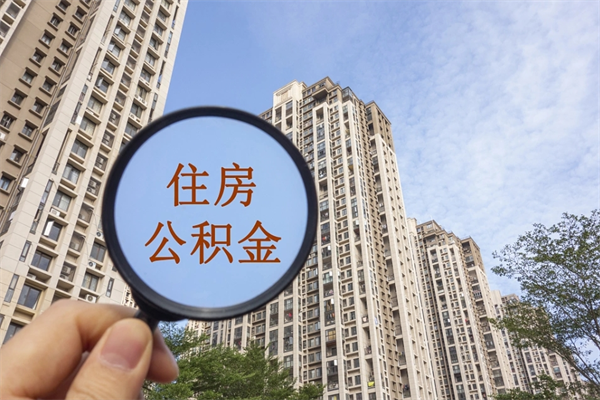 滦南住房公积金查询个人账户（住房公积金个人查询入口）